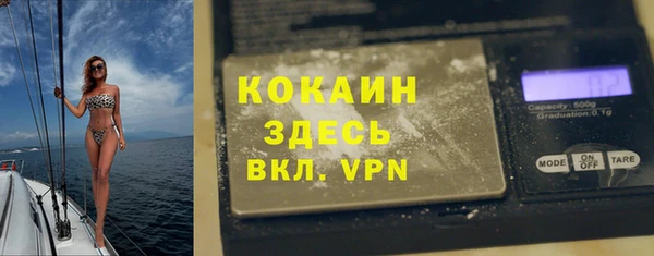 шишки Алексин