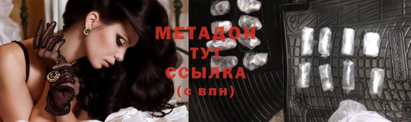 прущие грибы Абаза