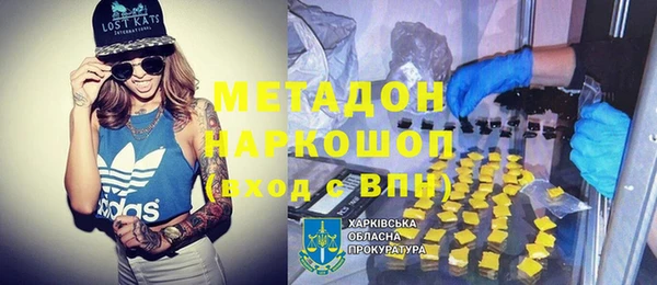прущие грибы Абаза