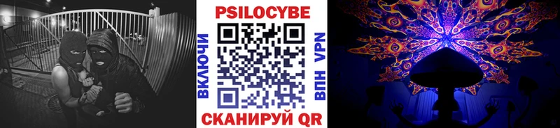 Псилоцибиновые грибы Psilocybe  купить  сайты  Морозовск 