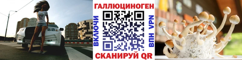 Псилоцибиновые грибы Psilocybe Морозовск